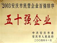 2003年安慶市民營企業五十強