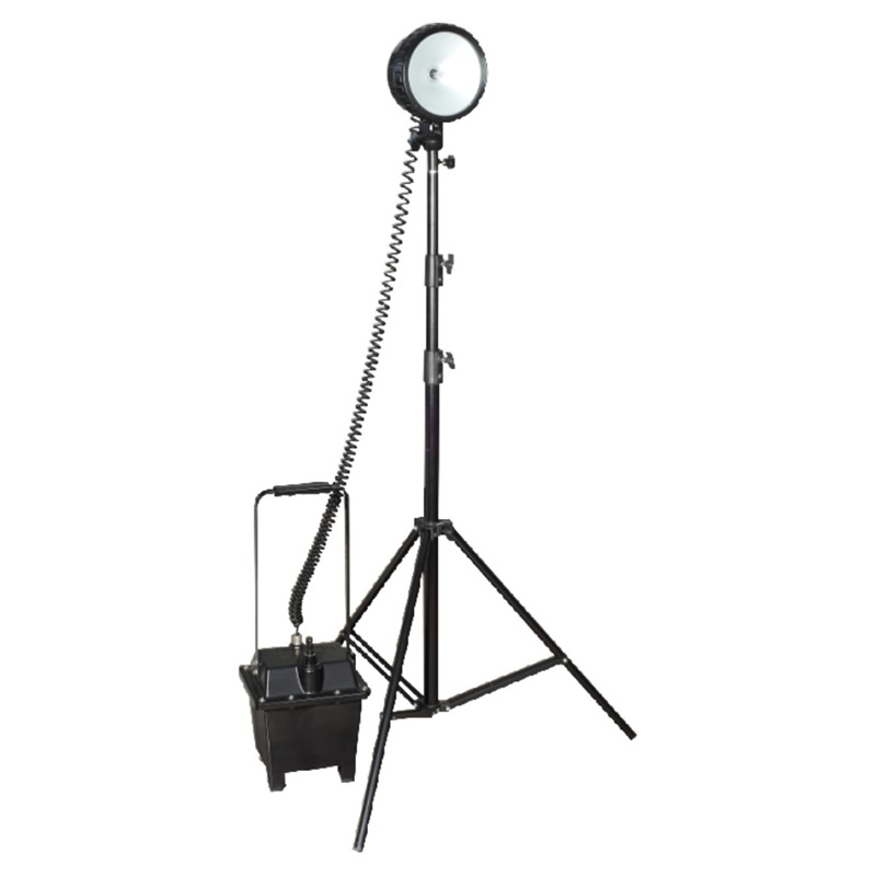 ���ʓ��޹�����