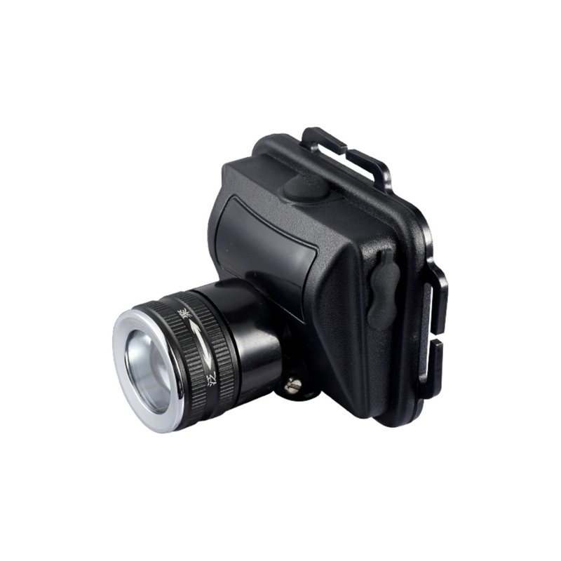 �̑B�����^�������{����